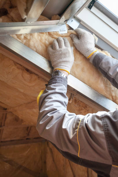 Best Eco-Friendly Insulation in Albany, TX
