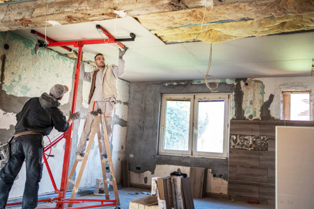 Best Cellulose Insulation in Albany, TX